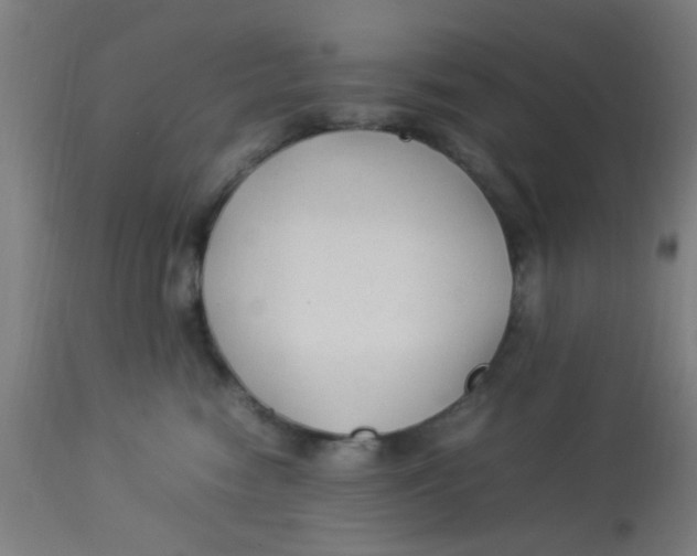 X0000113220474200910081345