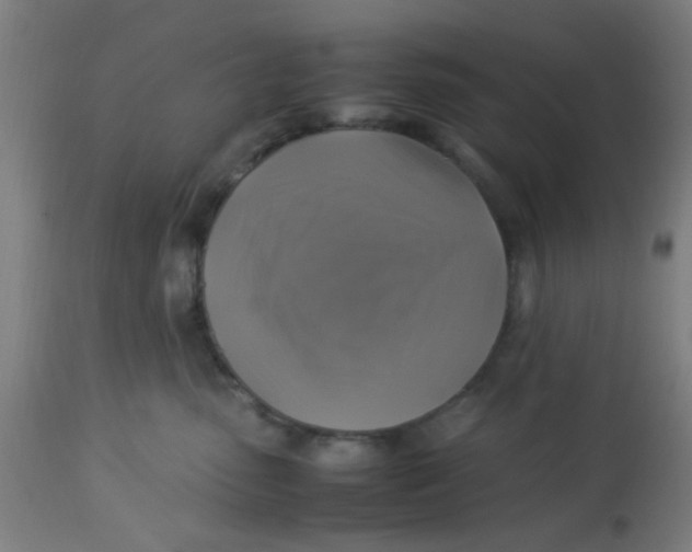 X0000113220475200910081345
