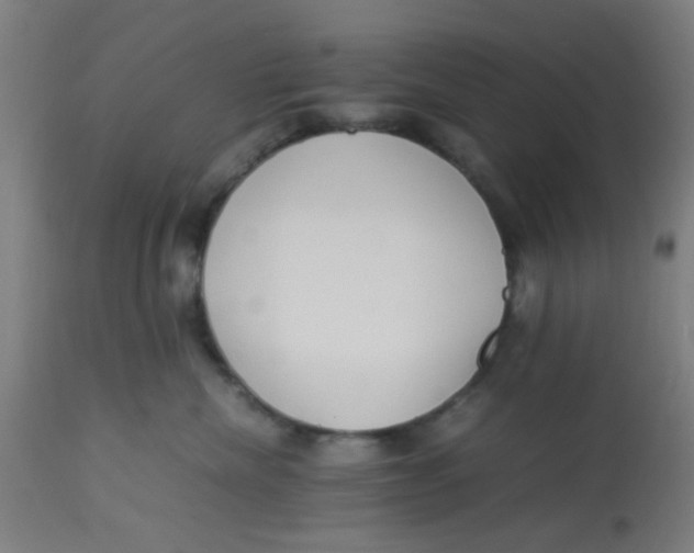 X0000113220476200910081345