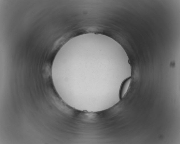 X0000113220478200910081346