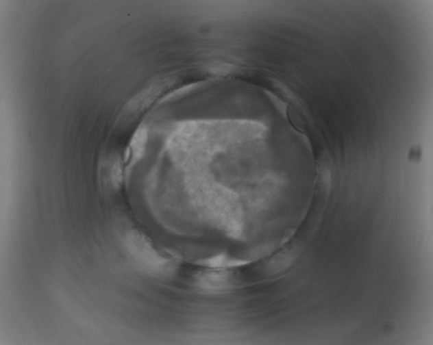 X0000113220479200910081346