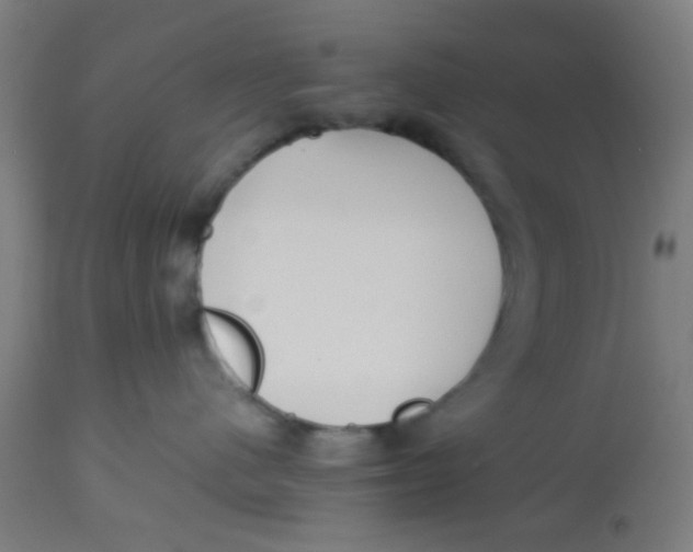 X0000113220480200910081346
