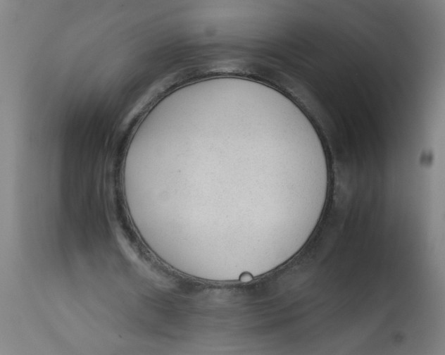 X0000113220482200910081345