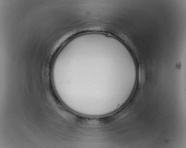 X0000113220483200910081345