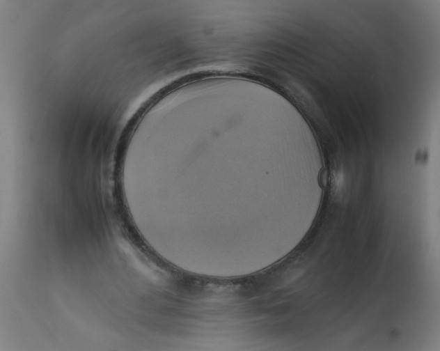 X0000113220484200910081345