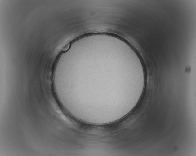 X0000113220485200910081345