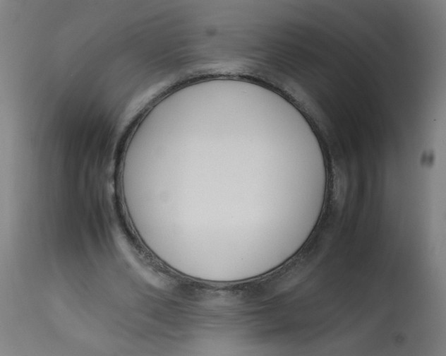 X0000113220486200910081345
