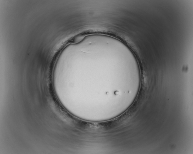 X0000113220487200910081345