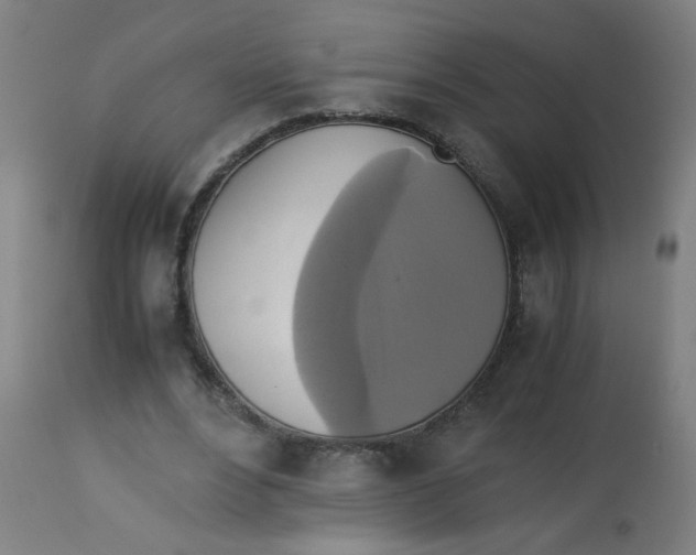 X0000113220488200910081345