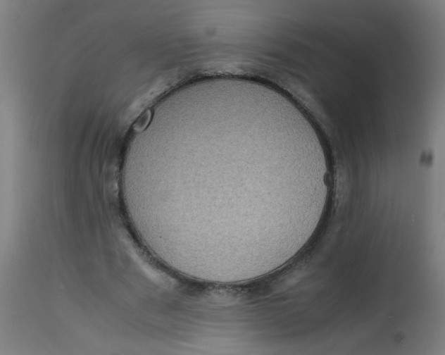 X0000113220489200910081345