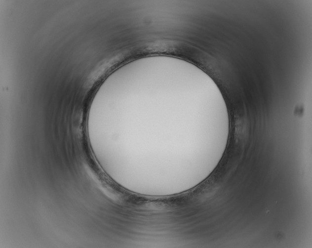X0000113220490200910081345