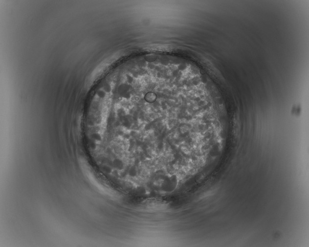X0000113220491200910081345