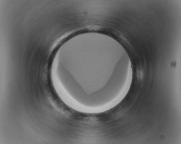 X0000113220492200910081345