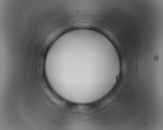 X0000113220493200910081345