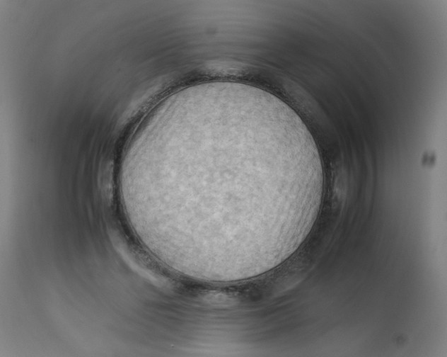 X0000113220494200910081345