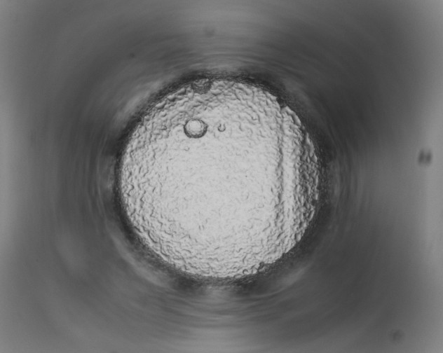 X0000113220495200910081345