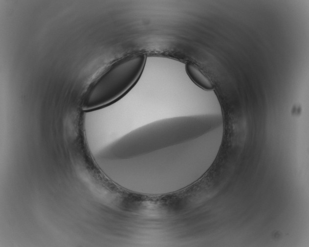 X0000113220496200910081345