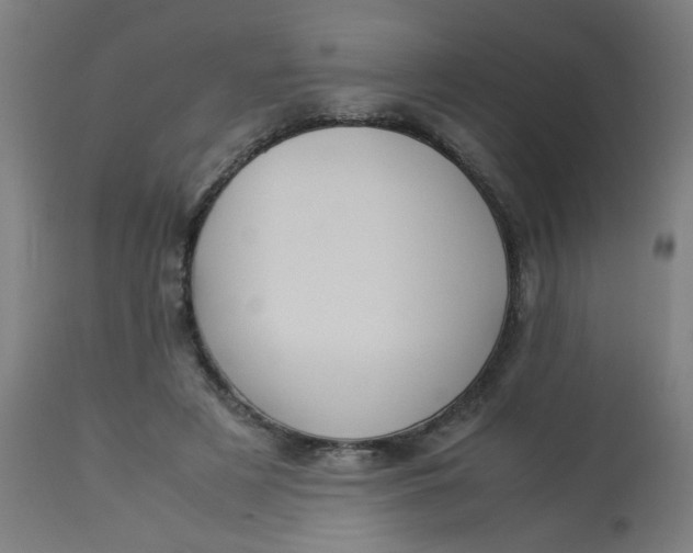 X0000113220497200910081345