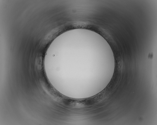 X0000113220498200910081345