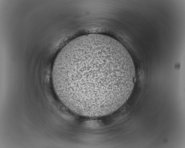 X0000113220499200910081345