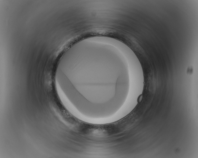 X0000113220500200910081345