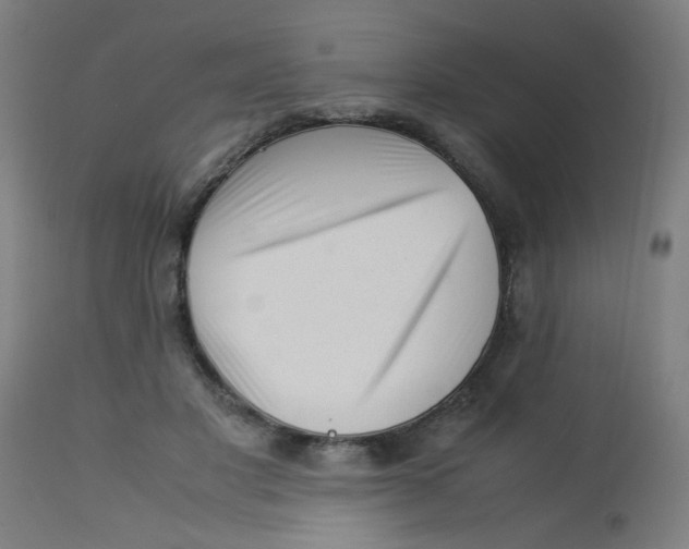X0000113220501200910081345
