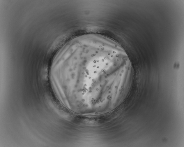 X0000113220502200910081345