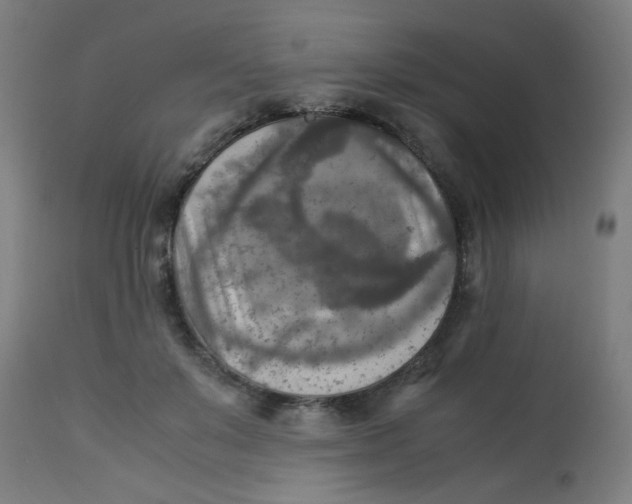 X0000113220503200910081345