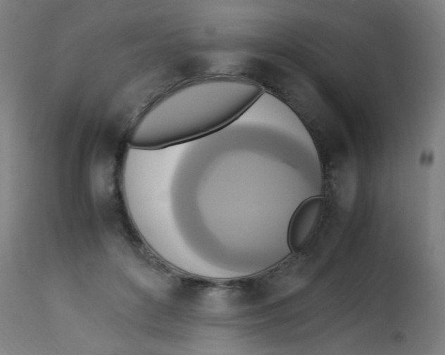 X0000113220504200910081345