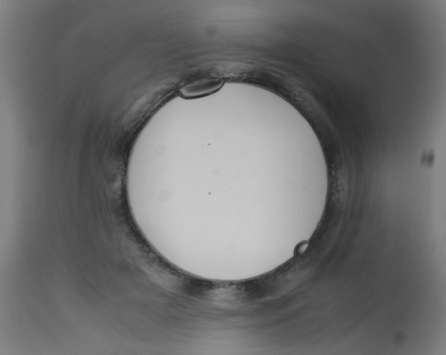 X0000113220505200910081345