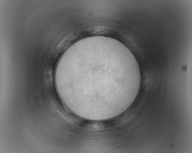 X0000113220506200910081345