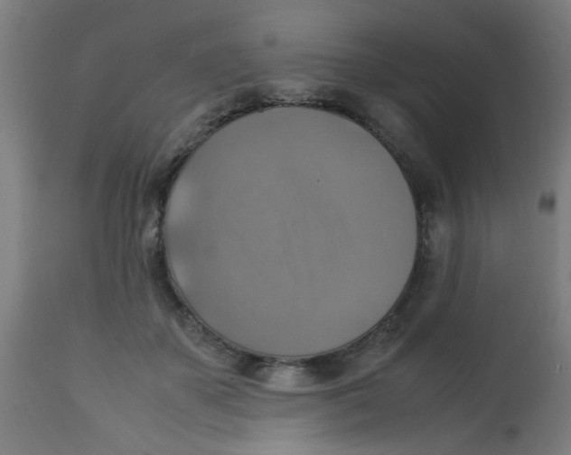 X0000113220507200910081345