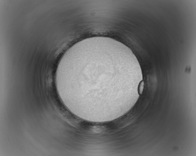 X0000113220508200910081345
