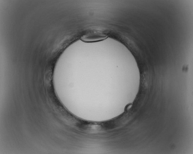 X0000113220509200910081344