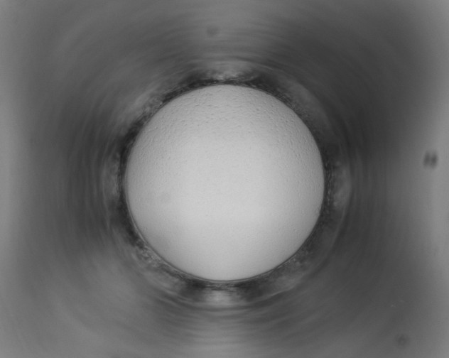 X0000113220510200910081344