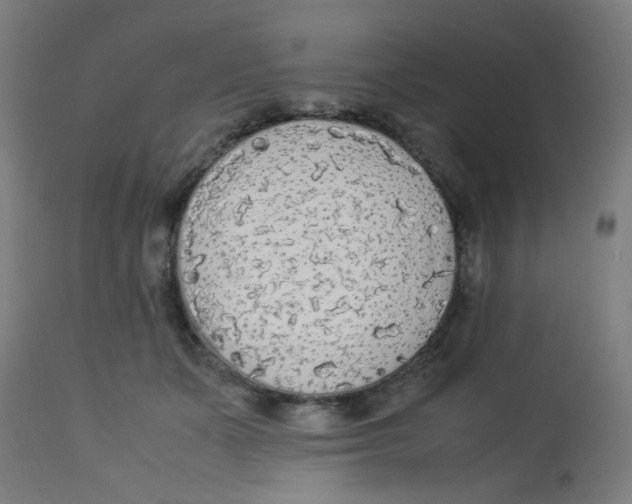 X0000113220511200910081344