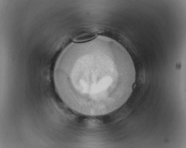 X0000113220512200910081344