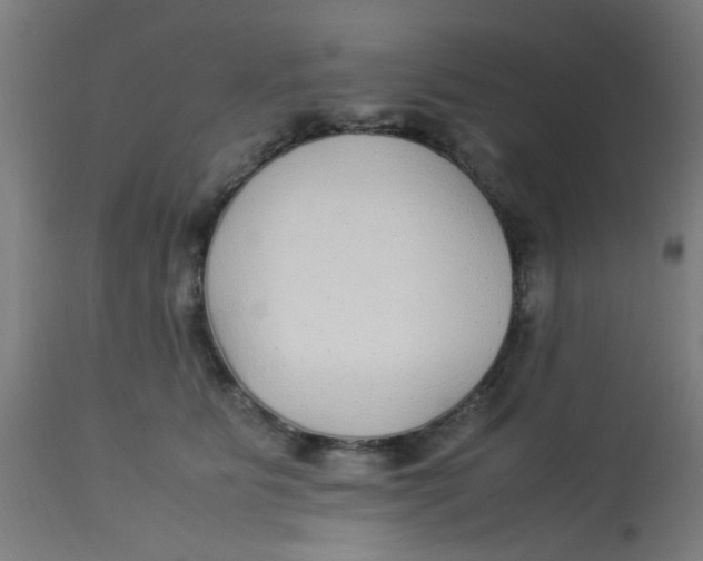 X0000113220515200910081344