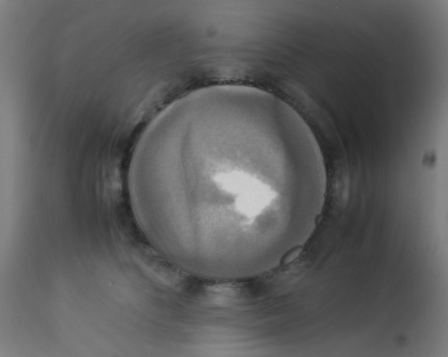 X0000113220516200910081344