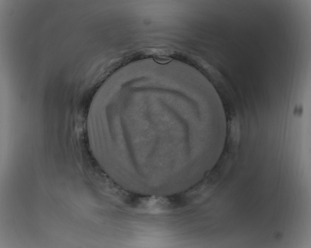 X0000113220517200910081344