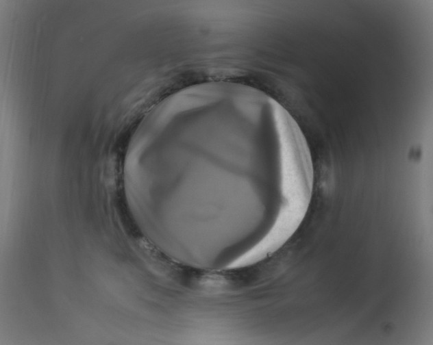 X0000113220519200910081344