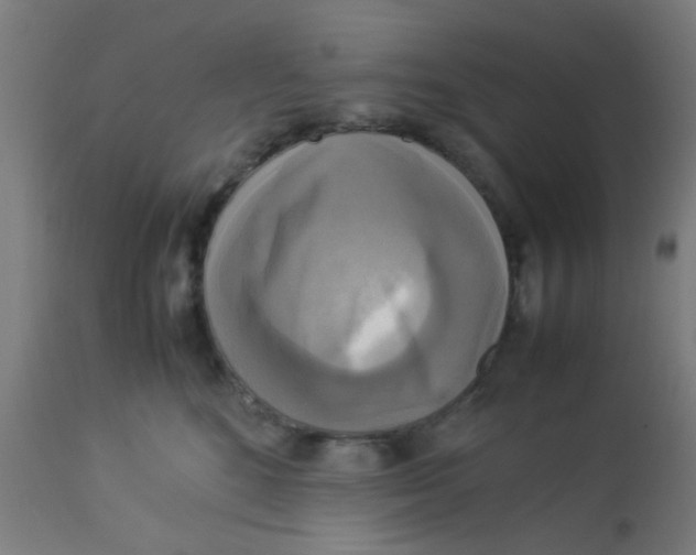 X0000113220520200910081344
