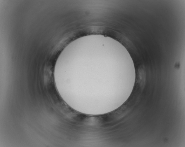 X0000113220522200910081344