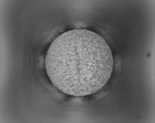X0000113220523200910081344
