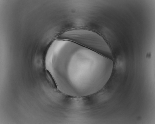 X0000113220524200910081344