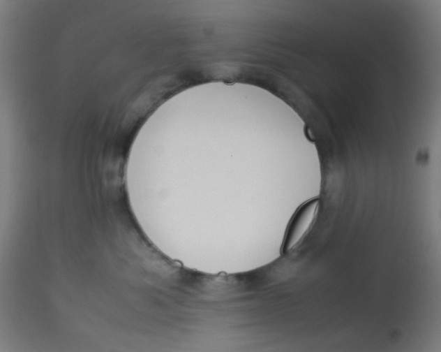 X0000113220525200910081344