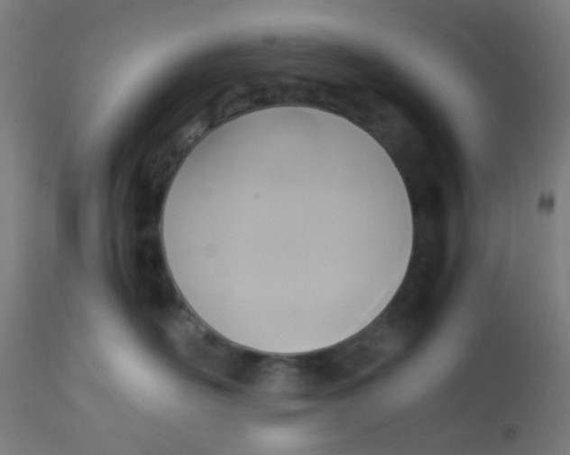 X0000113220526200910081344