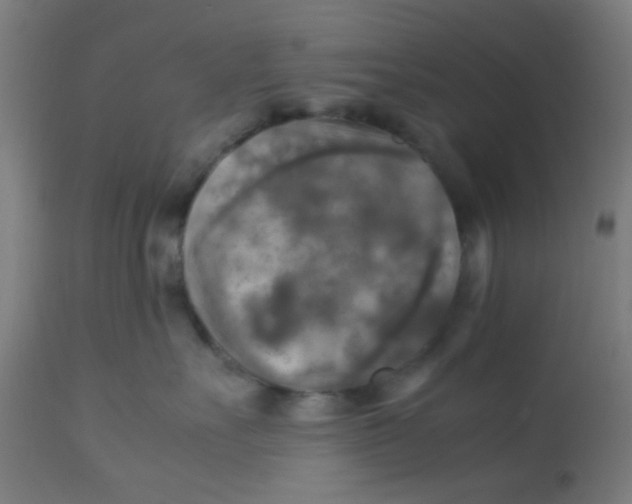 X0000113220527200910081344