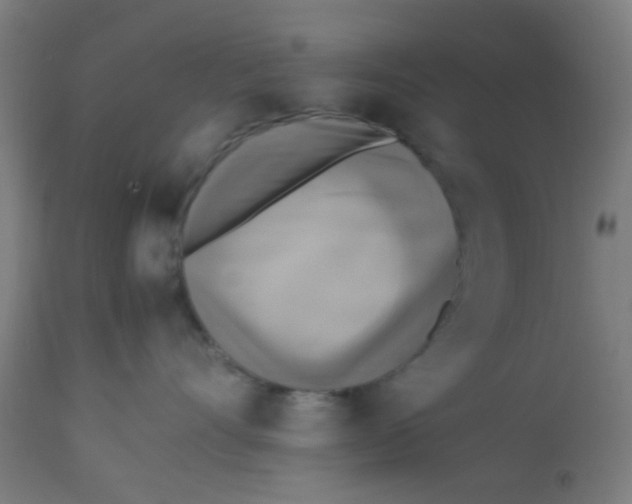 X0000113220528200910081344