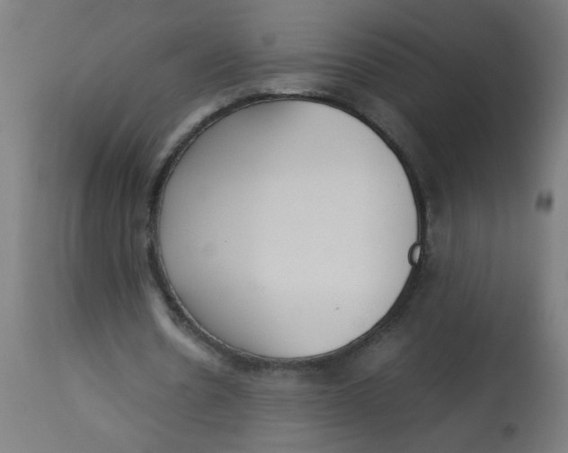 X0000113220530200910081343